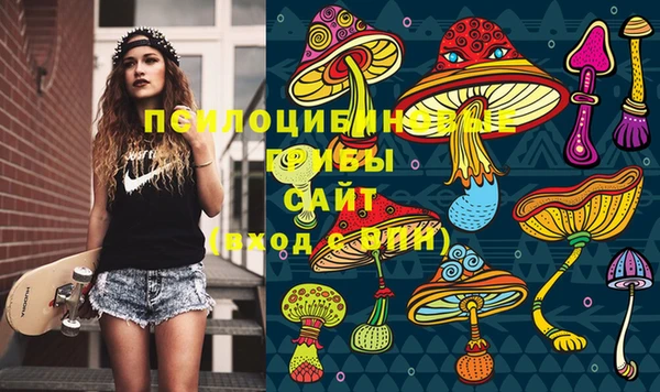 mdma Бородино
