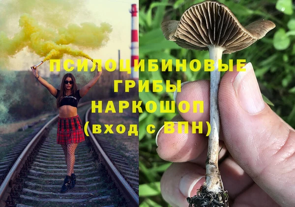 ALPHA PVP Верея