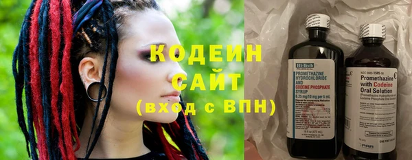 прущие грибы Бугульма